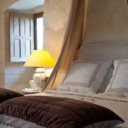 Guest house Chateau De Charge 5*